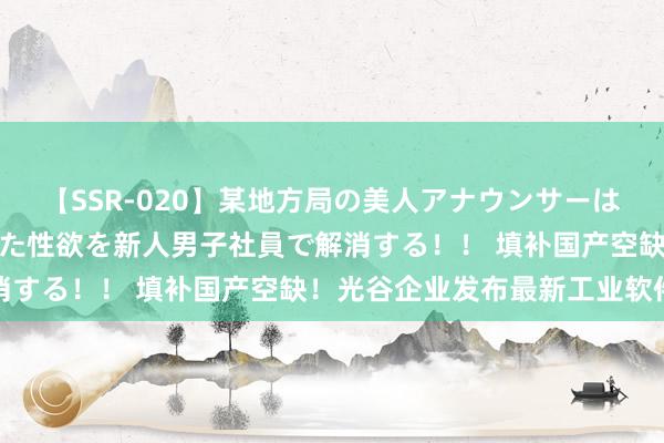 【SSR-020】某地方局の美人アナウンサーは忙し過ぎて溜まりまくった性欲を新人男子社員で解消する！！ 填补国产空缺！光谷企业发布最新工业软件
