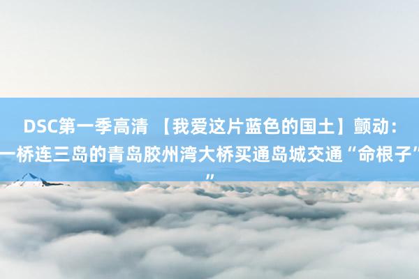 DSC第一季高清 【我爱这片蓝色的国土】颤动：一桥连三岛的青岛胶州湾大桥买通岛城交通“命根子”
