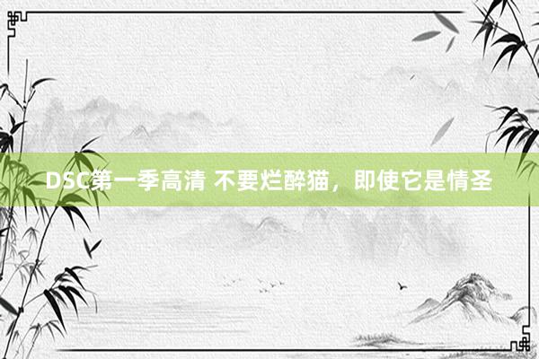 DSC第一季高清 不要烂醉猫，即使它是情圣