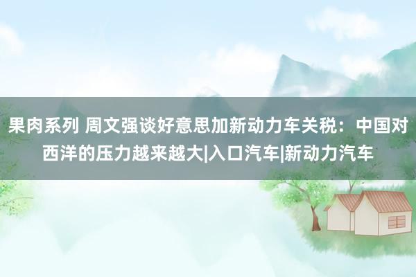 果肉系列 周文强谈好意思加新动力车关税：中国对西洋的压力越来越大|入口汽车|新动力汽车
