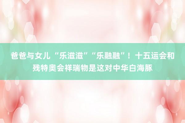爸爸与女儿 “乐滋滋”“乐融融”！十五运会和残特奥会祥瑞物是这对中华白海豚