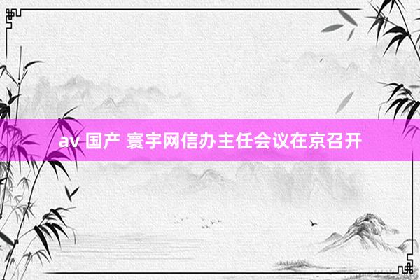 av 国产 寰宇网信办主任会议在京召开
