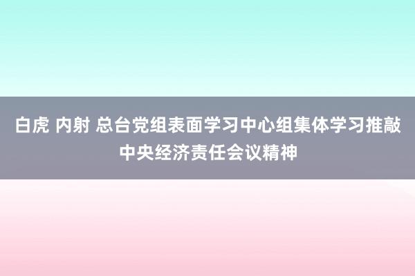 白虎 内射 总台党组表面学习中心组集体学习推敲中央经济责任会议精神